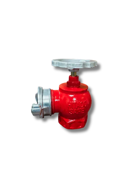 Van góc DN65 - 16Bar